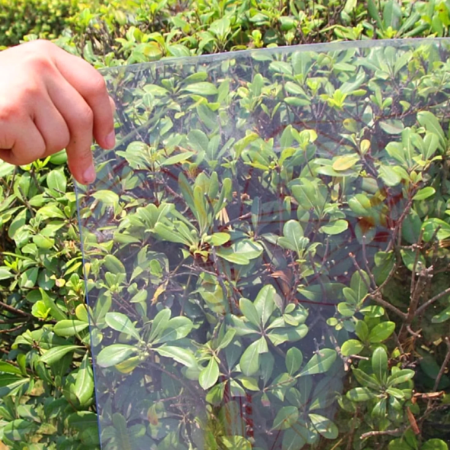 Lastre in policarbonato trasparente - Pannello di copertura in plastica resistente agli urti per luce naturale, pergola, carport, sostituzione della tettoia della serra - Include viti