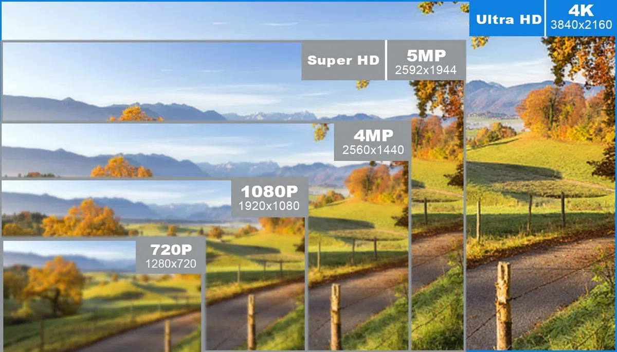 16 canali 4K NVR (1080p / 3MP / 4MP / 5MP / 8MP) Ultra HD Videoregistratore di rete Cloud P2P Telecomando (16-CH)