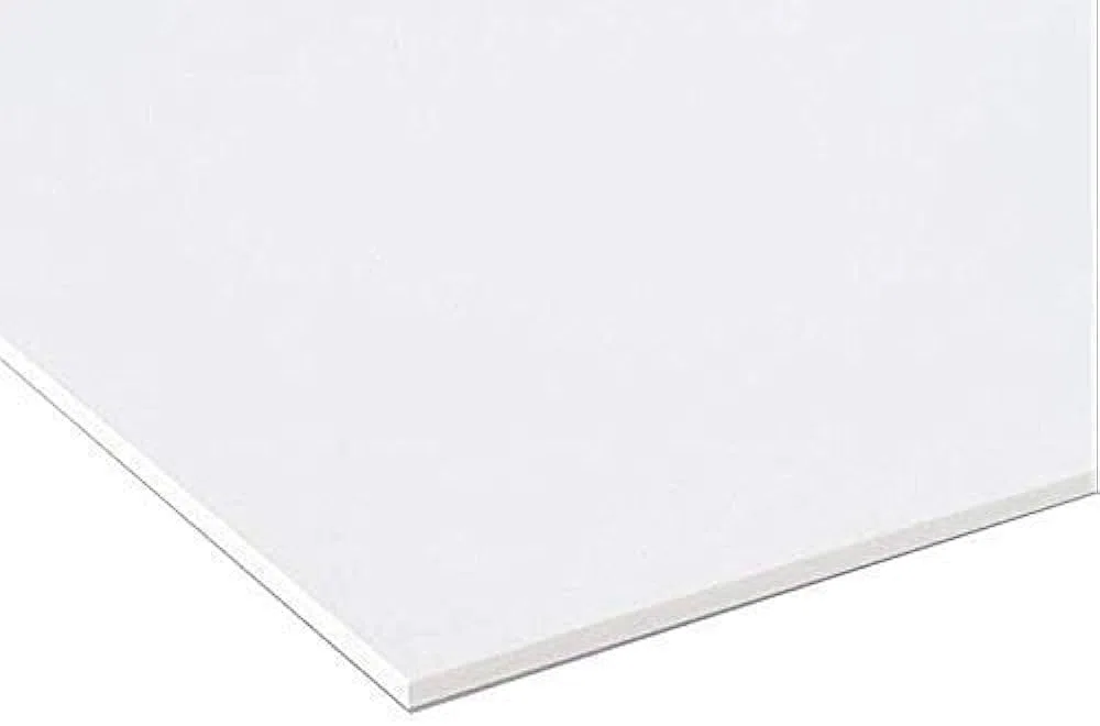 Pannello Lastra Forex pvc bianco/nero spessore 10 mm 100x100 cm bianco/nero forex bianco/nero pvc (Bianco)