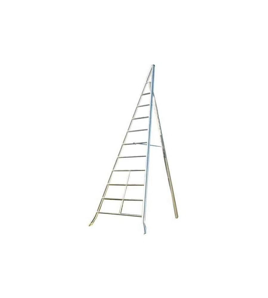 Echelle Direct Scala alluminio agricoltura, Alluminio, 3 m