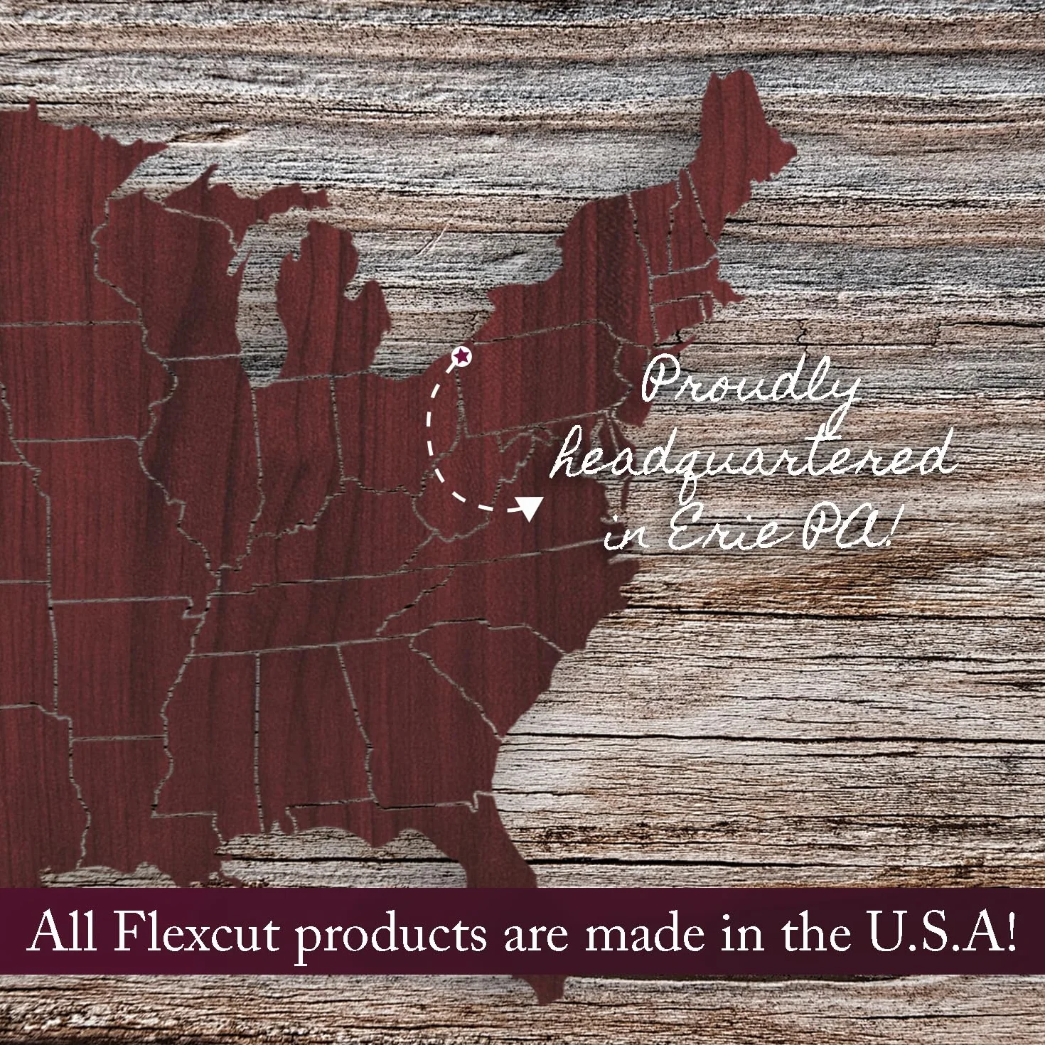 Flexcut Pro Series, Set 2 Coltelli da Intaglio Professionali, Manico Sottile, Lame 2,54-3,5 cm