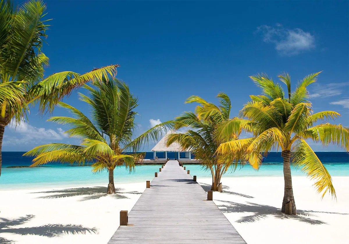 murando - Carta da Parati Adesiva Spiaggia e Mare 245x175 cm Fotomurali Adesivi Murali Rivestimento Parete Moderna per Pareti Adesiva Muro Decorativo Fotomurale Soggiorno Paesaggio Ponte